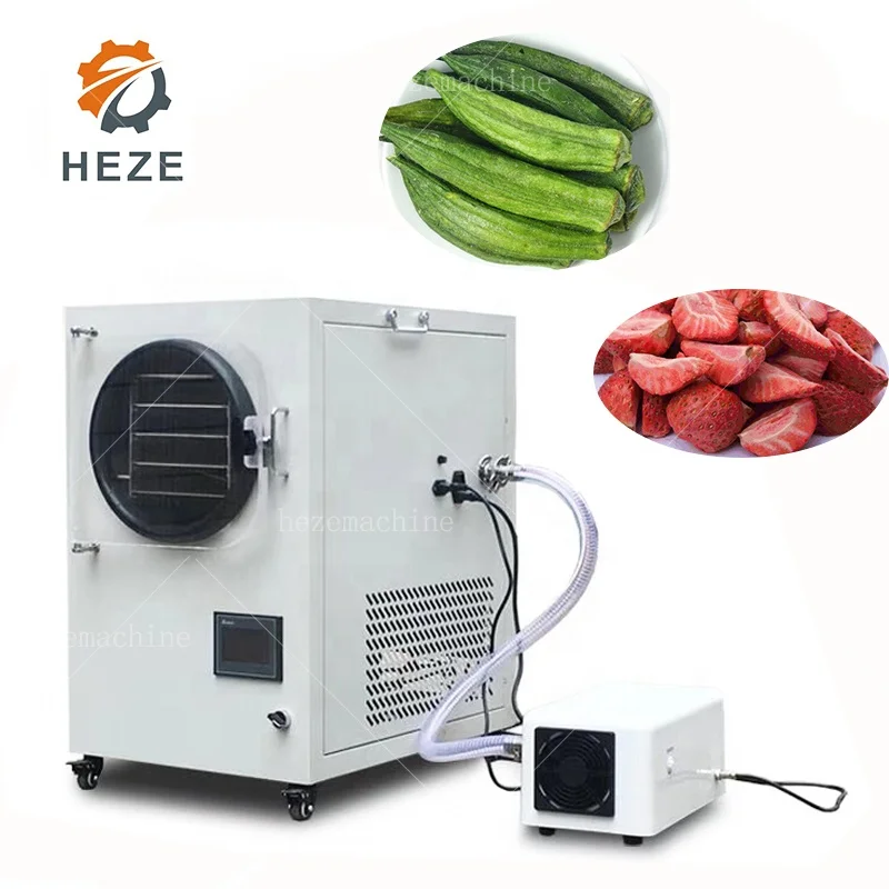 Mini Home Vacuum Freeze Dryer Food Fruit Lyophilizer Freeze Drying