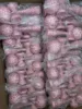 full crackle you can choose
