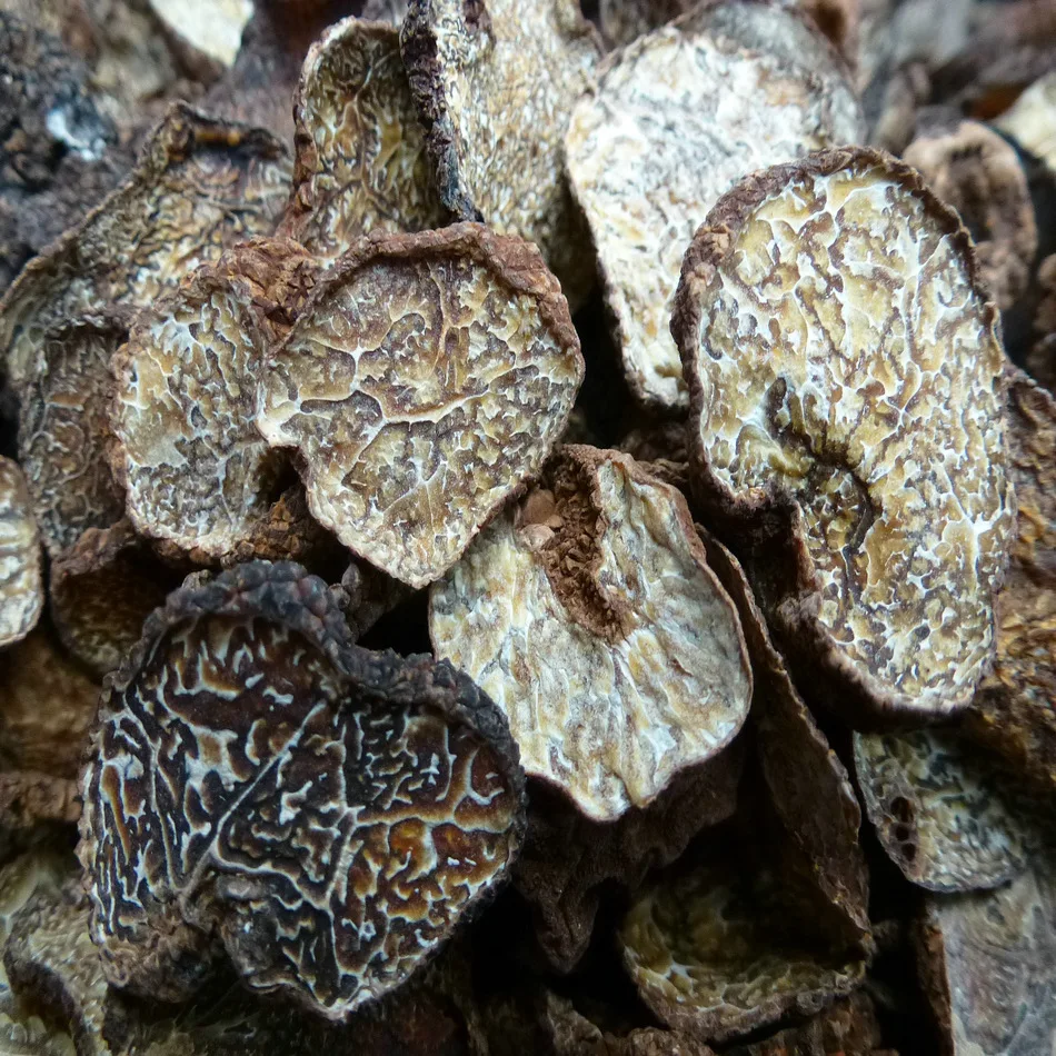 Hei Song Lu Top Grade Wild Fresh Dried Whole Black Truffle Mushroom Price