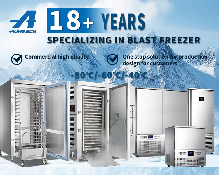 Deep Freezer, 140L, 220 V, R-404a - detail 2