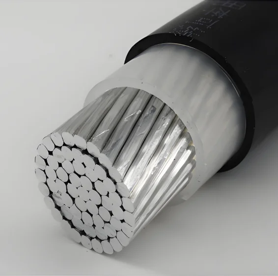 Aluminum core outdoor cable 50mm 70mm 95mm 120mm 150mm 185mm aluminum wire wire overhead line single stranded nyy u1000 r2n