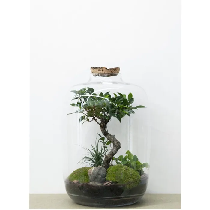 New Design Custom Made Hand-blown Clear Glass DIY Terrarium Bottle for Indoor Gardening With Cork Lid