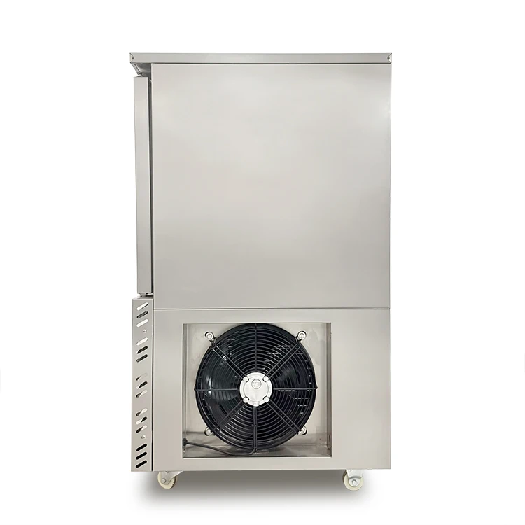 Blast Freezer, 220V, 2.3 - detail 8