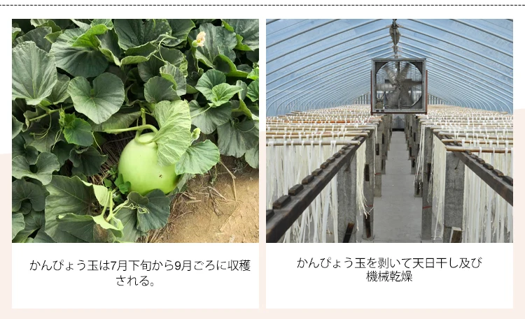 具材寿司かんぴょう冷凍ドライベジタブルチップス巻き寿司 Buy ひょうたん野菜おやつ具材寿司かんぴょう 巻き寿司用保存食品野菜かんぴょうストリップ ひょうたん保存寿司かんぴょう材料ストリップひょうたんひょうたんを寿司用に乾燥 Product On Alibaba Com