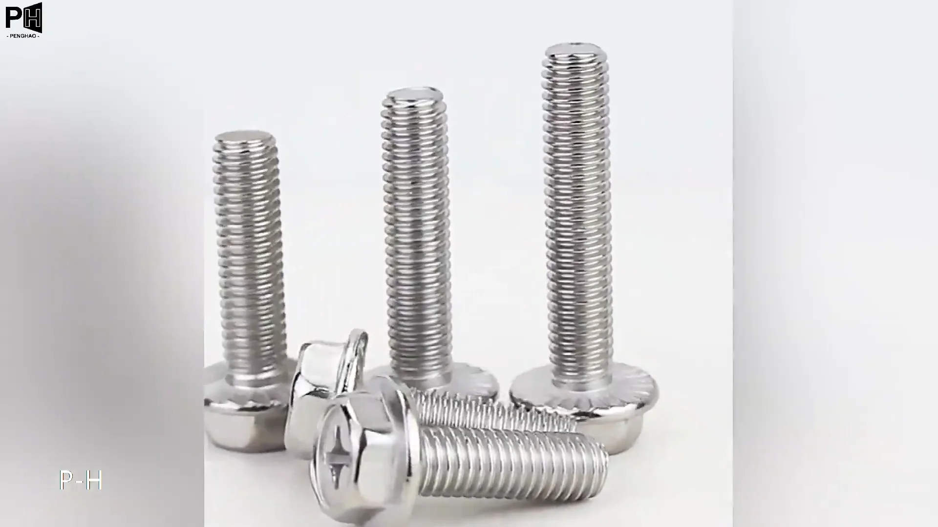 ほねほね新聞　32枚　全種コンプリート ほねほねザウルス コンプリートセット - メルカリ