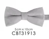 CBT31913