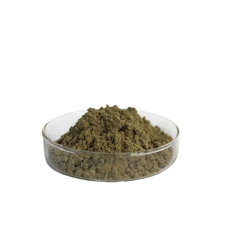 Extract Anacyclus Pyrethrum With Pahrm Grade