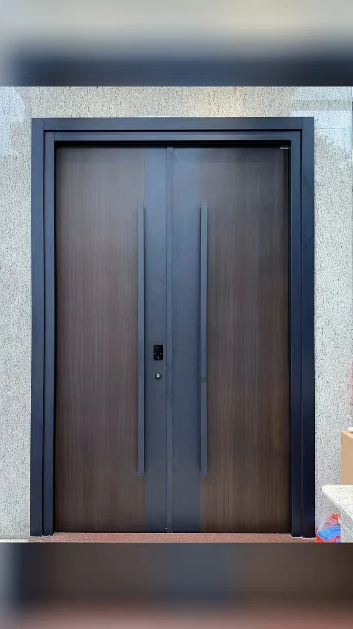 Entry door High quality aluminium alloy modern design outdoor flat entrance pivot front door supplier