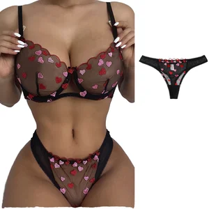 Hot Wholesale Lovely Erotic Intimates Transparent Lace Mesh Embroidery Nylon Light Women Sexy Lingerie Set Plus Size Underwear