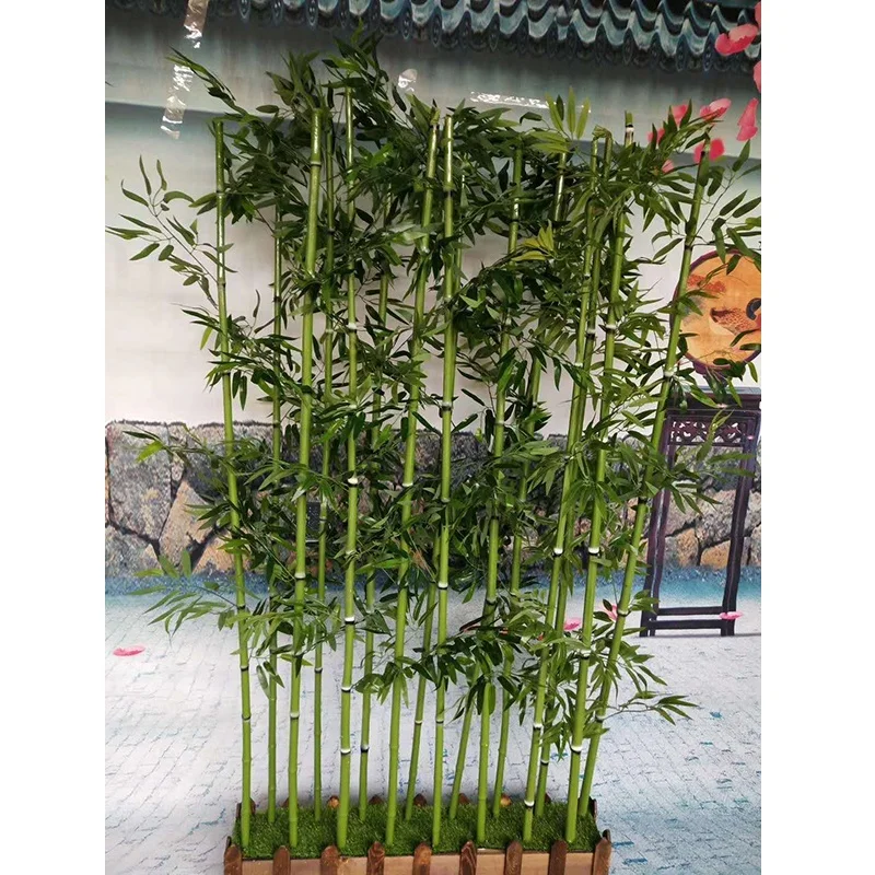 Комнатные Растения Бамбук Фото