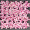 Pink hydrangea row