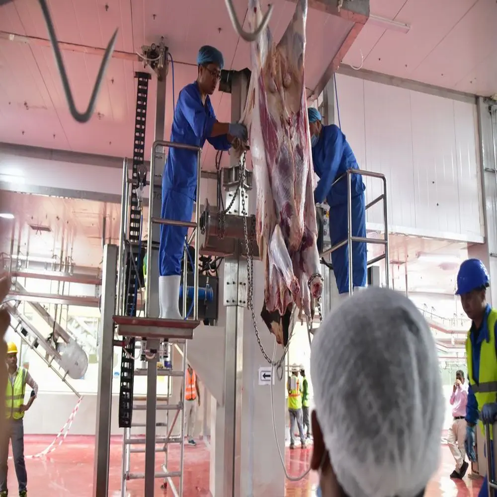Halal slaughtering equipment and meat processing plant equipment for cattle slaughtering