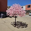 árbol de cerezo en flor 3