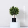 Pine and cypress ball trees