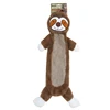 sloth
