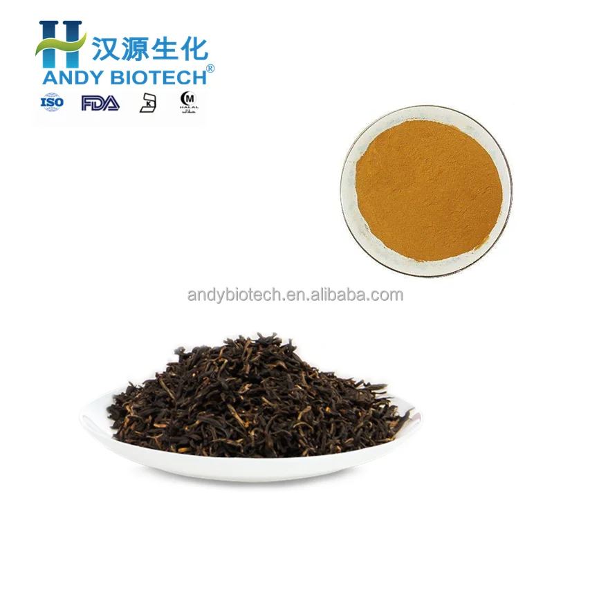 Black Tea Extract2