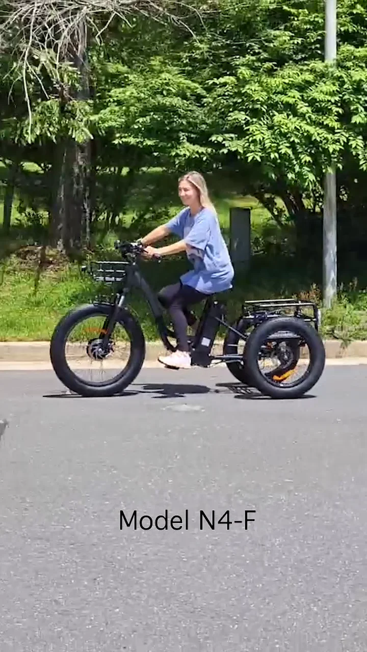 Rushed Long Tail Cargo Electric Tricycle 48v Fat Tire 3 Wheel Electric