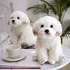 Chien maltais _ 38*21*26cm