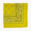 Yellow polyester