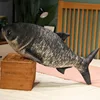 Silver carp