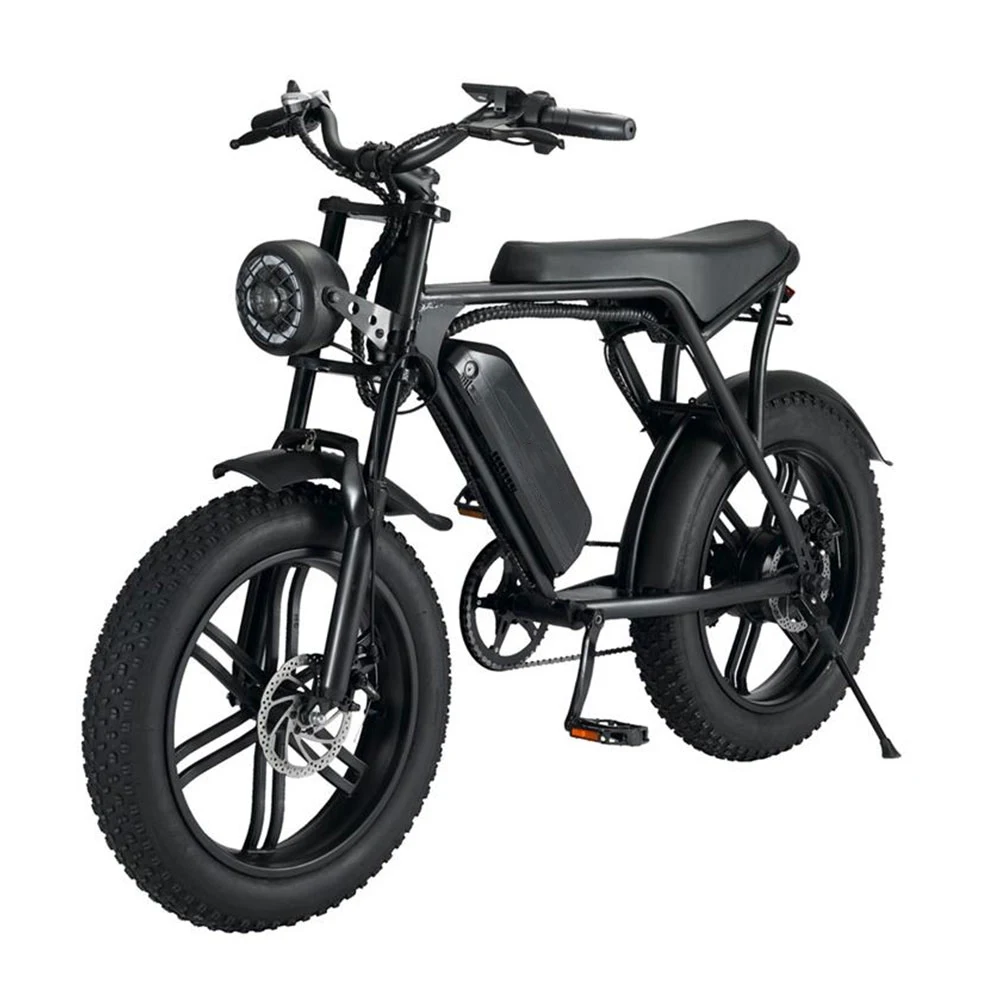 20 Inch Off Road Inflatable Fat Tire EBike 750w 1000w 48v 12ah 15ah  Electric Bicycle(old) Full Suspension Electric Bike