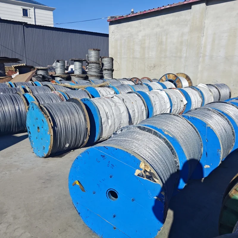 1100mcm Acsr Conductor Curlew Bare Aluminum Galvanized Steel Wire/ Aluminum Clad Steel Wire Solid