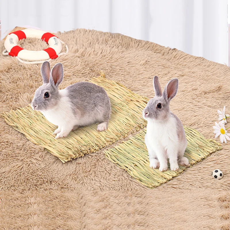 Aazon.co : Tfwadx Rabbit Grass House - Natural Hand Woven Seagrass