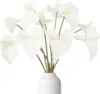 1# Blanco leche