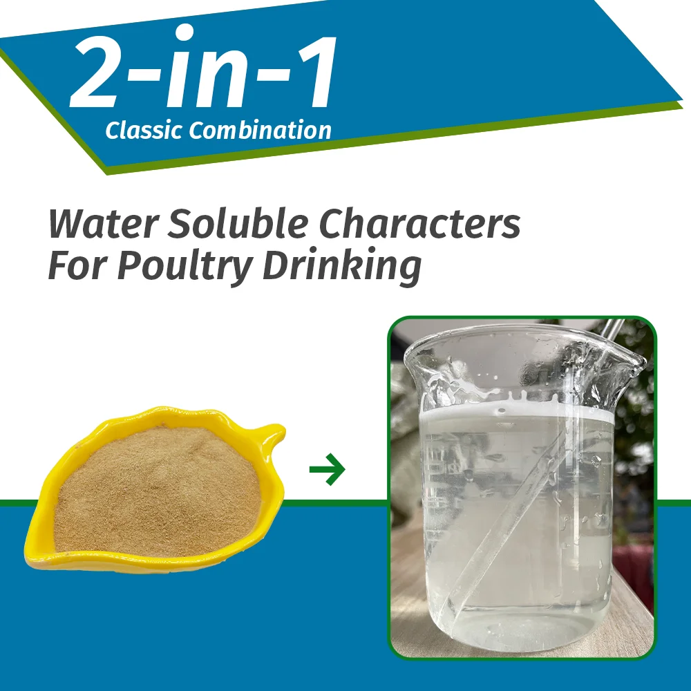 New Type Probiotic Clostridium Butyricum for Chicken Broiler Layer Poultry Gut Health Flora Regulation Feed Grade