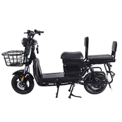 Long range high speed takeaway food delivery vehicle 48v 16ah lithium battery front and rear dics brake safe driving 2 seat bike