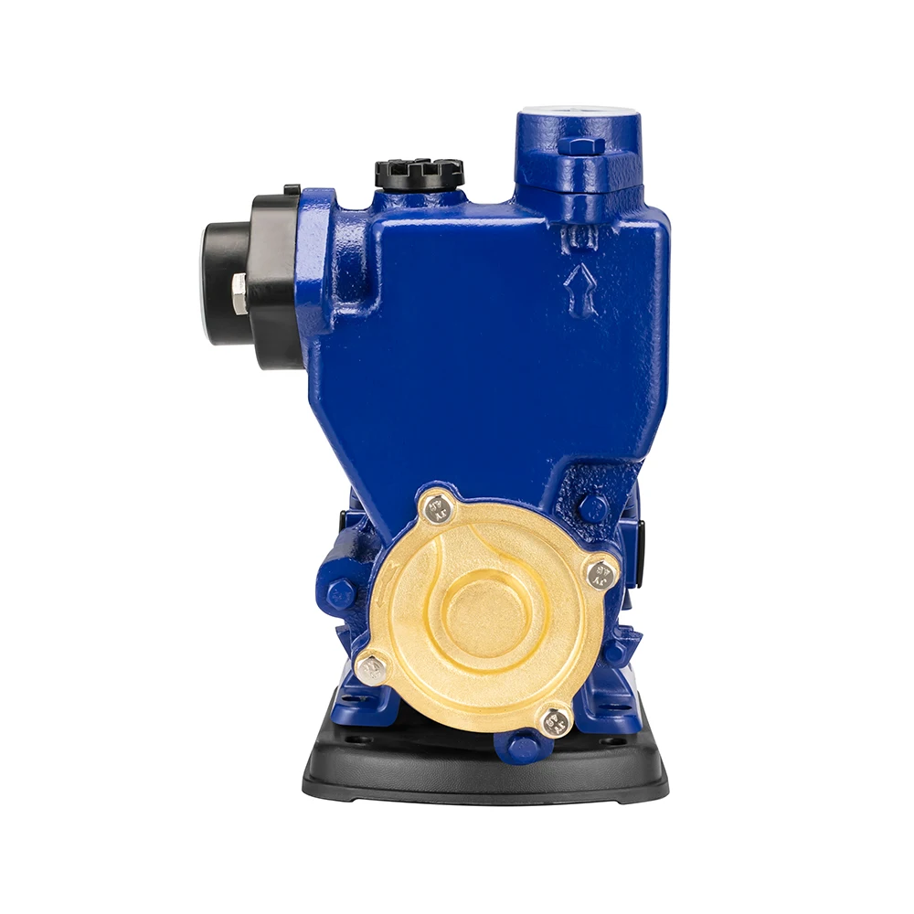 Автоматический вихревой насос для повышения давления воды для дома, 220 В переменного тока