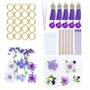 Cercle violet