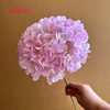 #5 hortensias de cabeza grande de color rosa violeta - 18 cm