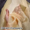 10#Champagne léger