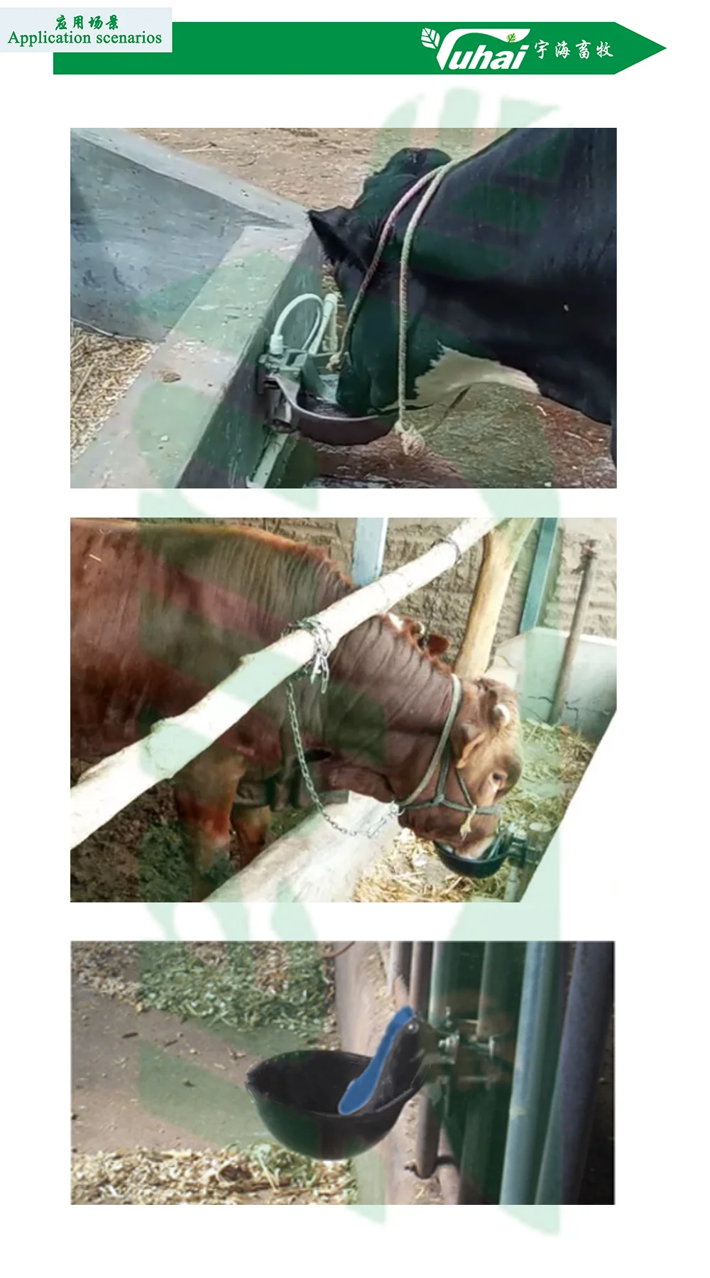 feeding troug with animal teats animal drinkers-2