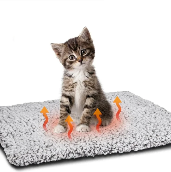 pet beds (15)