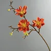 Arancione