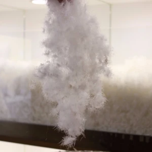 Machine Washable Low Price White Pure Sticky Down Duck and Goose Feather Prices Cheap Duck Feather