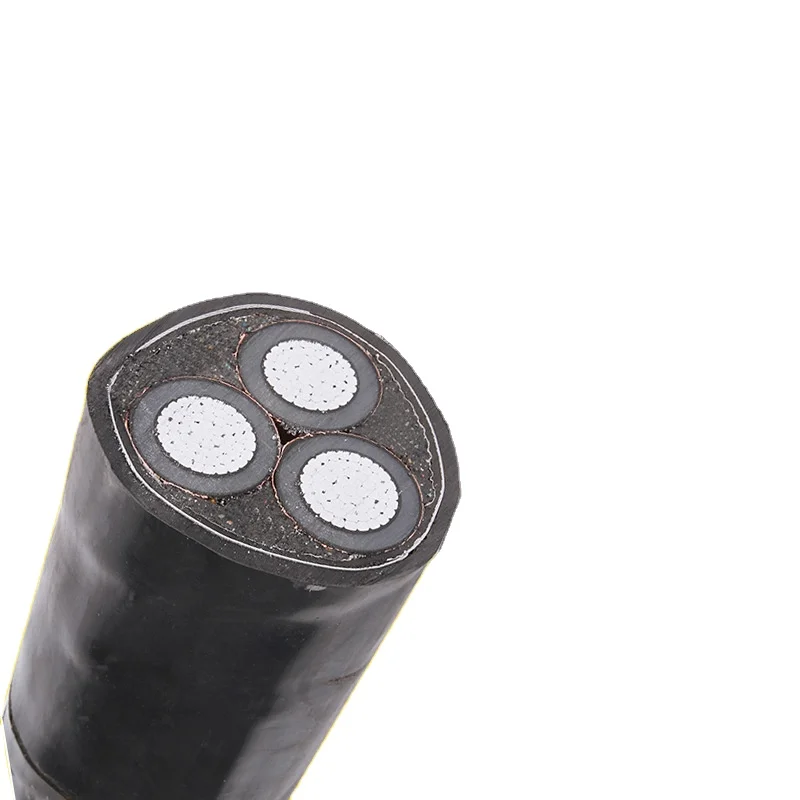 Xlpe 케이블 가격 전기 시스템 용 장갑 전기 케이블 U1000 R2V RVFV NYVV N2XY N2XBY