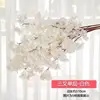 3 punte (strato singolo) bianco 1 pezzo