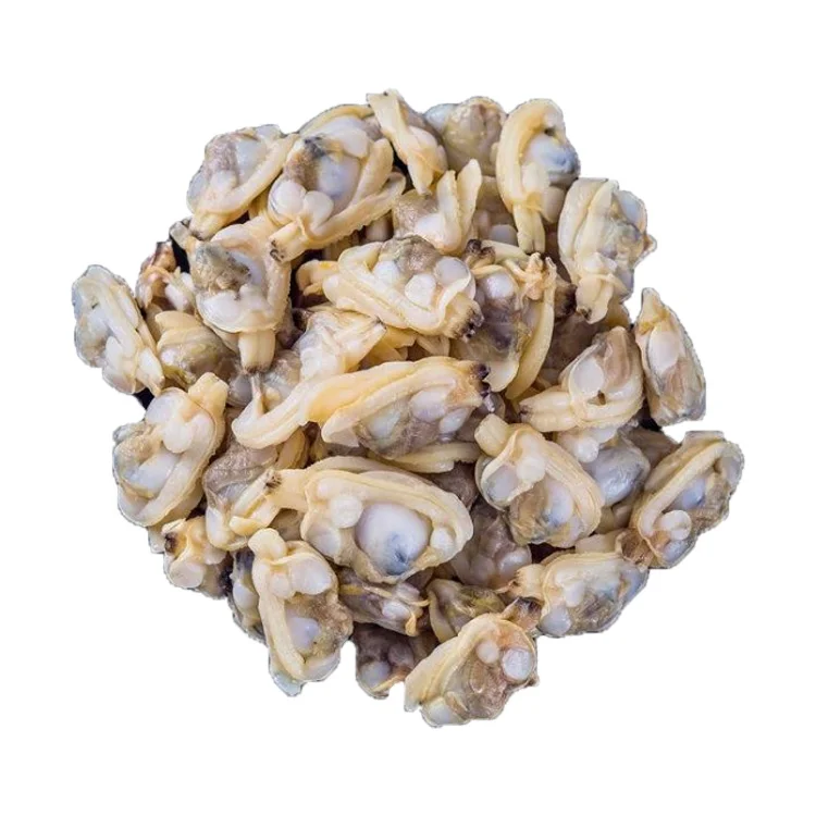 Iqf Frozen Boiled Baby Clam Meat Buy Clam Meat frozen Clams frozen