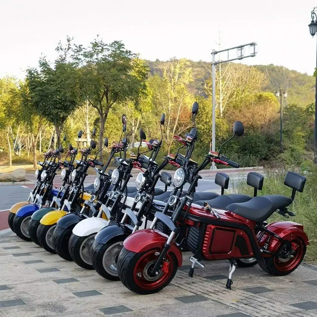 2025 Cheap Hulk 3 Wheel Electric Bike CE Approved Adult Tricycle for Sale