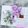 สีม่วง