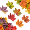 Automne