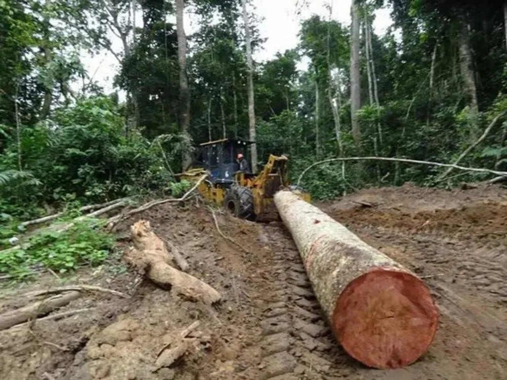 Skidder Forestry Tractor Logging Machine Tractor Timber Tractor Forest Skidder Forestry Winch Forest Winch Timber Log Winch