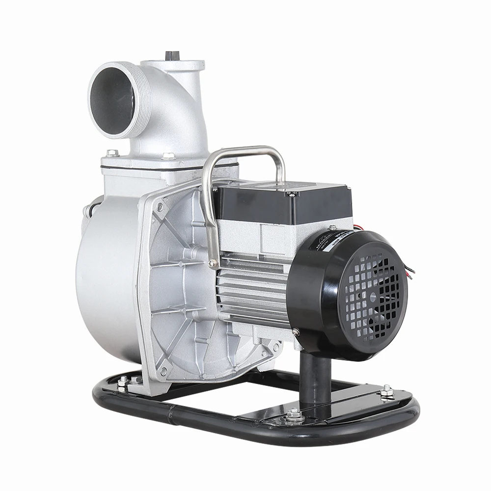 High Efficient PMSM Motor 1.2 HP Surface Solar Water Pump for Agriculture