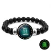 Y4428 Gemini