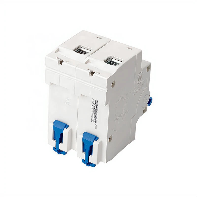 CHINT Double Pole 125A MCB Main Switch DP 125A CHINT MCB Circuit Breaker NXB 2P 100A MCB 10kA CHINT Miniature Circuit Breaker