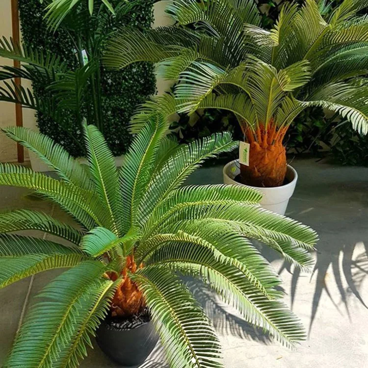 出售花园装饰西卡盆栽植物绿色人造环木西米棕榈树,用于室内室外