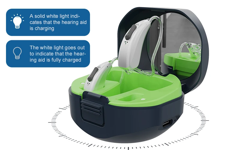 Rechargeable Digital Hearing Aids Hearing Loss Ric Bluetooth Ear